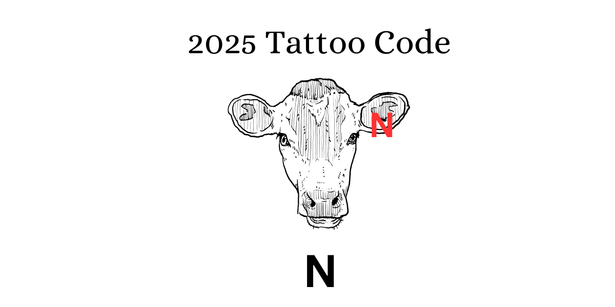 tattoo code